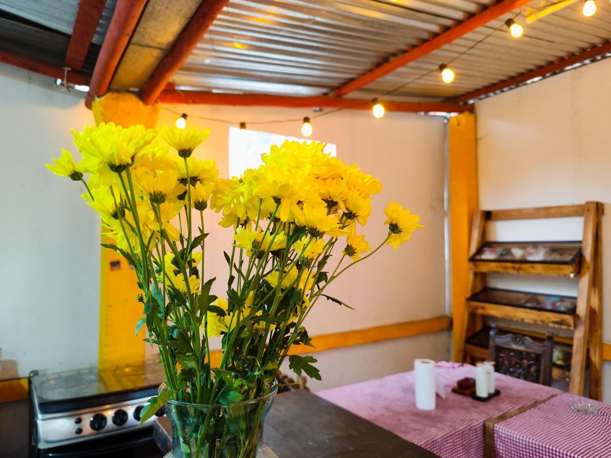 Mico Loco Casa Hostal بوغوتا المظهر الخارجي الصورة